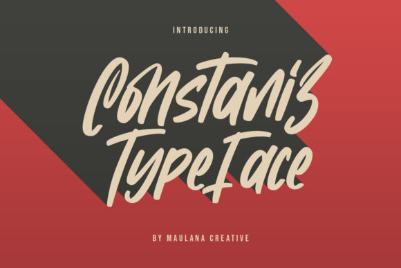 Bridging the Gap Between Human Touch and Digital Precision with Constaniz