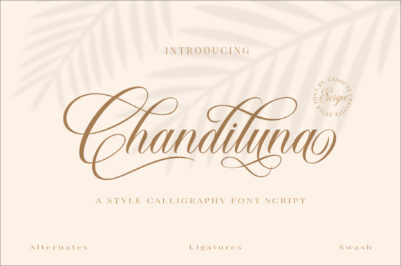 Chandiluna: The Delicate Handwritten Font That Brings Creativity to Life