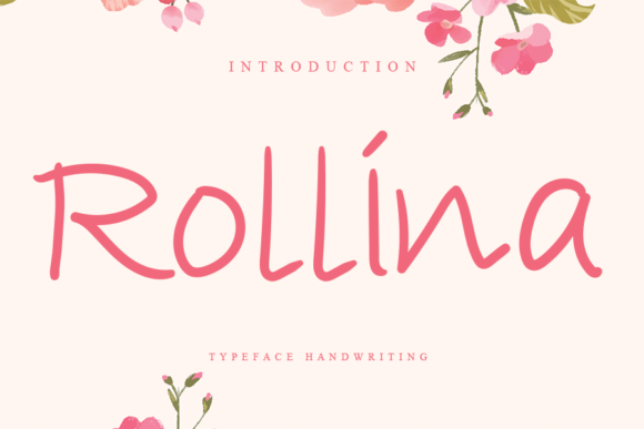 Integrating Rollina into Your Creative Workflow
