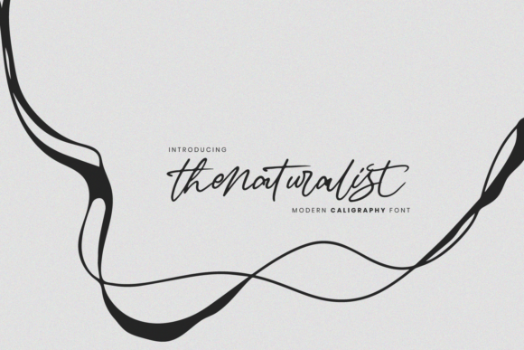 The Naturalist: A Balanced Evaluation of the Handwritten Urban Font